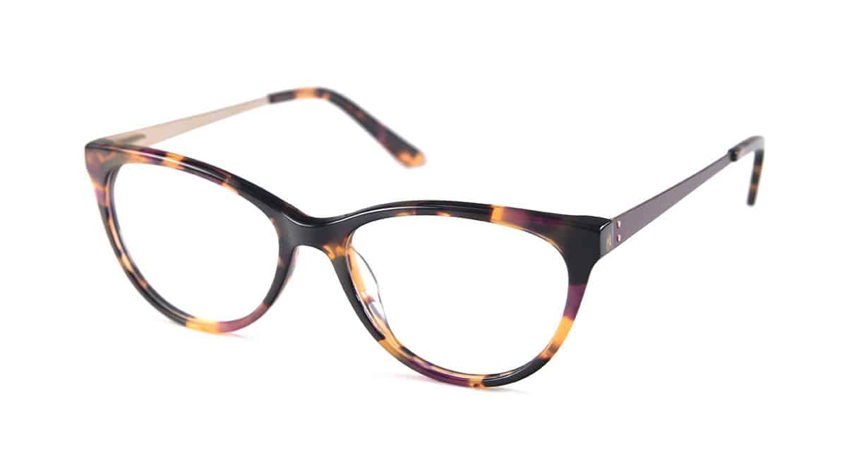 MP206---tortoise---Angled-(Photo-221)