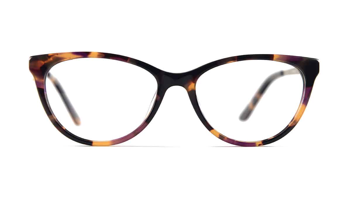 MP206---tortoise---Front-(Photo-051)