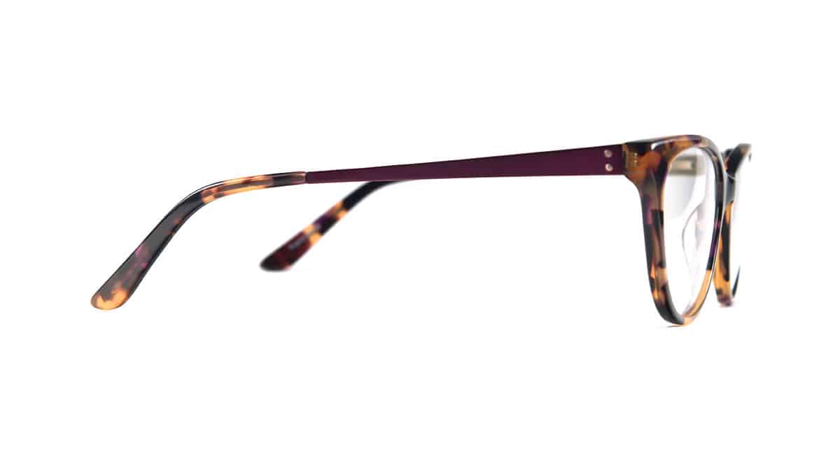 MP206---tortoise---Side-(Photo-138)