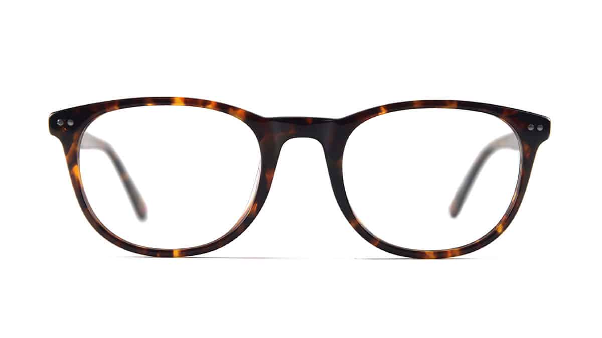 MP402---tortoise---Front-(Photo-062)